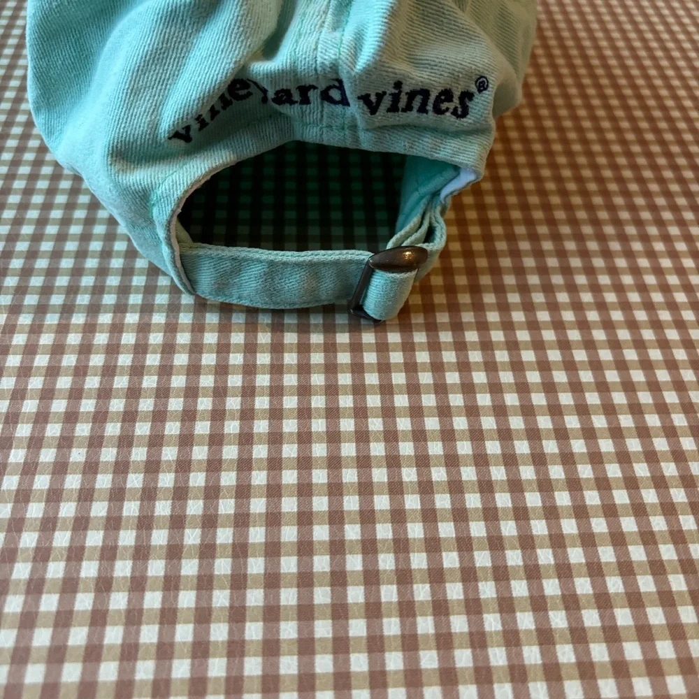 Vineyard Vines Nashville Tennessee‎ hat cap “mint color” preppy sporty. CLEAN